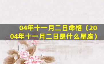 04年十一月二日命格（2004年十一月二日是什么星座）