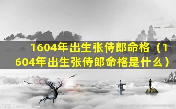 1604年出生张侍郎命格（1604年出生张侍郎命格是什么）