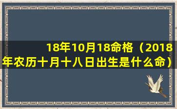 18年10月18命格（2018年农历十月十八日出生是什么命）