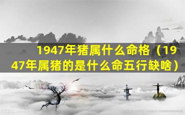 1947年猪属什么命格（1947年属猪的是什么命五行缺啥）