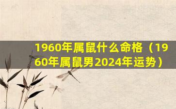 1960年属鼠什么命格（1960年属鼠男2024年运势）