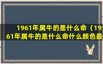 1961年属牛的是什么命（1961年属牛的是什么命什么颜色最旺）