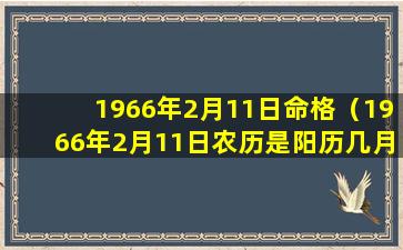 1966年2月11日命格（1966年2月11日农历是阳历几月几日）