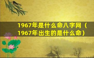 1967年是什么命八字网（1967年出生的是什么命）