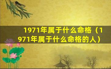 1971年属于什么命格（1971年属于什么命格的人）