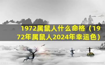 1972属鼠人什么命格（1972年属鼠人2024年幸运色）