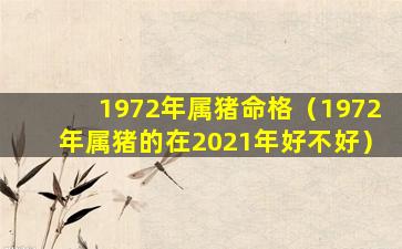 1972年属猪命格（1972年属猪的在2021年好不好）