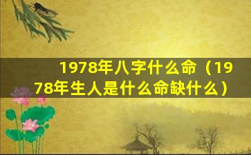 1978年八字什么命（1978年生人是什么命缺什么）