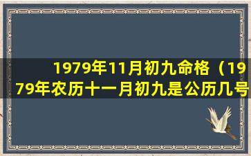 1979年11月初九命格（1979年农历十一月初九是公历几号）