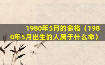 1980年5月的命格（1980年5月出生的人属于什么命）