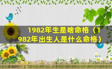 1982年生是啥命格（1982年出生人是什么命格）