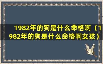 1982年的狗是什么命格啊（1982年的狗是什么命格啊女孩）