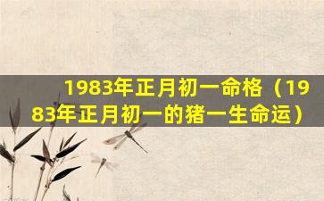 1983年正月初一命格（1983年正月初一的猪一生命运）