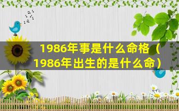 1986年事是什么命格（1986年出生的是什么命）