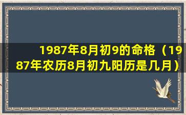 1987年8月初9的命格（1987年农历8月初九阳历是几月）