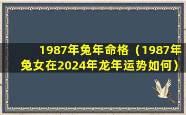 1987年兔年命格（1987年兔女在2024年龙年运势如何）