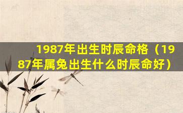 1987年出生时辰命格（1987年属兔出生什么时辰命好）