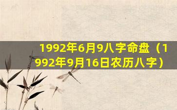 1992年6月9八字命盘（1992年9月16日农历八字）