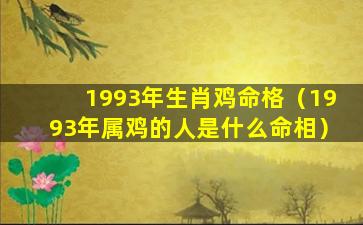 1993年生肖鸡命格（1993年属鸡的人是什么命相）