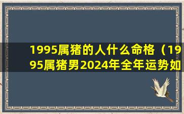 1995属猪的人什么命格（1995属猪男2024年全年运势如何）