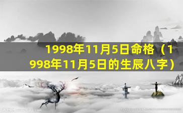 1998年11月5日命格（1998年11月5日的生辰八字）