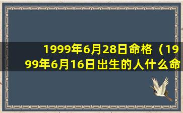 1999年6月28日命格（1999年6月16日出生的人什么命）