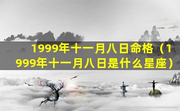 1999年十一月八日命格（1999年十一月八日是什么星座）