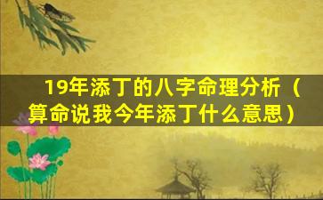 19年添丁的八字命理分析（算命说我今年添丁什么意思）