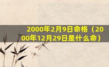 2000年2月9日命格（2000年12月29日是什么命）