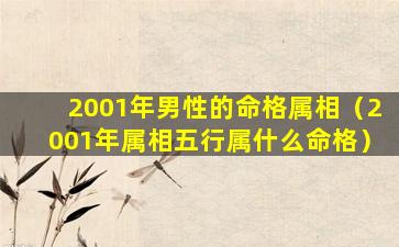 2001年男性的命格属相（2001年属相五行属什么命格）