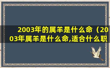 2003年的属羊是什么命（2003年属羊是什么命,适合什么职业）