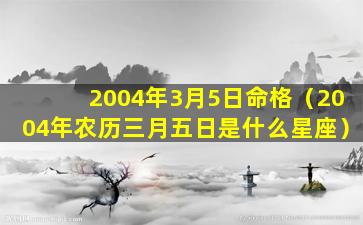 2004年3月5日命格（2004年农历三月五日是什么星座）