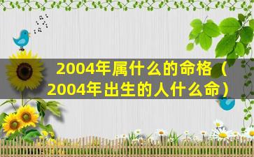 2004年属什么的命格（2004年出生的人什么命）