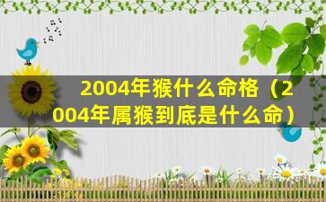 2004年猴什么命格（2004年属猴到底是什么命）