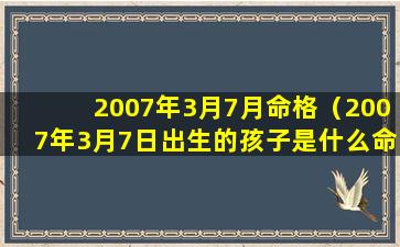 2007年3月7月命格（2007年3月7日出生的孩子是什么命）