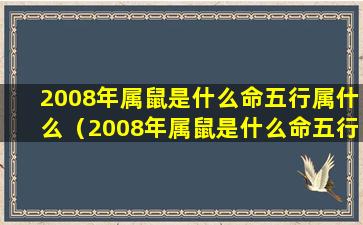 2008年属鼠是什么命五行属什么（2008年属鼠是什么命五行属什么缺什么）