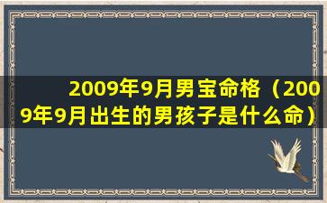 2009年9月男宝命格（2009年9月出生的男孩子是什么命）