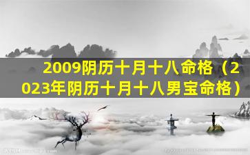 2009阴历十月十八命格（2023年阴历十月十八男宝命格）