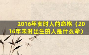 2016年亥时人的命格（2016年未时出生的人是什么命）