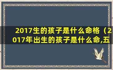 2017生的孩子是什么命格（2017年出生的孩子是什么命,五行缺什么）