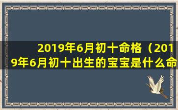 2019年6月初十命格（2019年6月初十出生的宝宝是什么命）