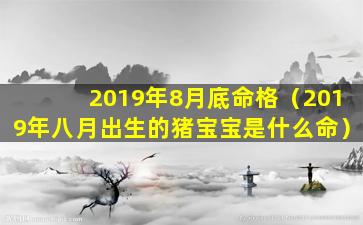 2019年8月底命格（2019年八月出生的猪宝宝是什么命）