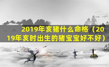 2019年亥猪什么命格（2019年亥时出生的猪宝宝好不好）