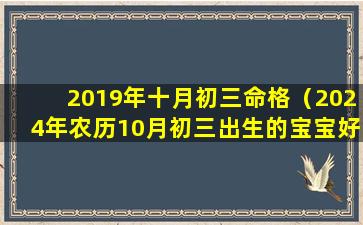 2019年十月初三命格（2024年农历10月初三出生的宝宝好不好）