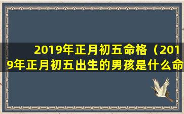 2019年正月初五命格（2019年正月初五出生的男孩是什么命）