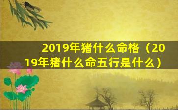 2019年猪什么命格（2019年猪什么命五行是什么）