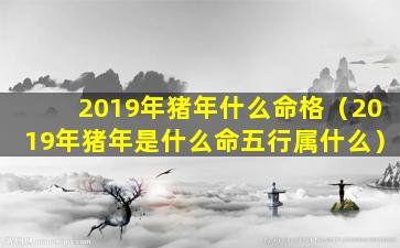 2019年猪年什么命格（2019年猪年是什么命五行属什么）