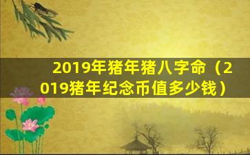 2019年猪年猪八字命（2019猪年纪念币值多少钱）