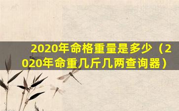 2020年命格重量是多少（2020年命重几斤几两查询器）