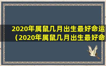 2020年属鼠几月出生最好命运（2020年属鼠几月出生最好命运女孩）